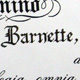 Headline Photo