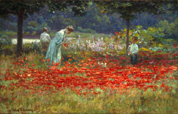 Poppy Garden
