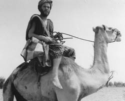 Bill Payne on Camel