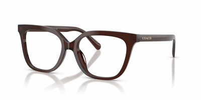 Lost Eye Glasses
