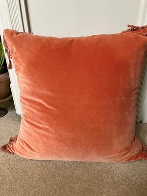 Large Velvet Pillow--$8