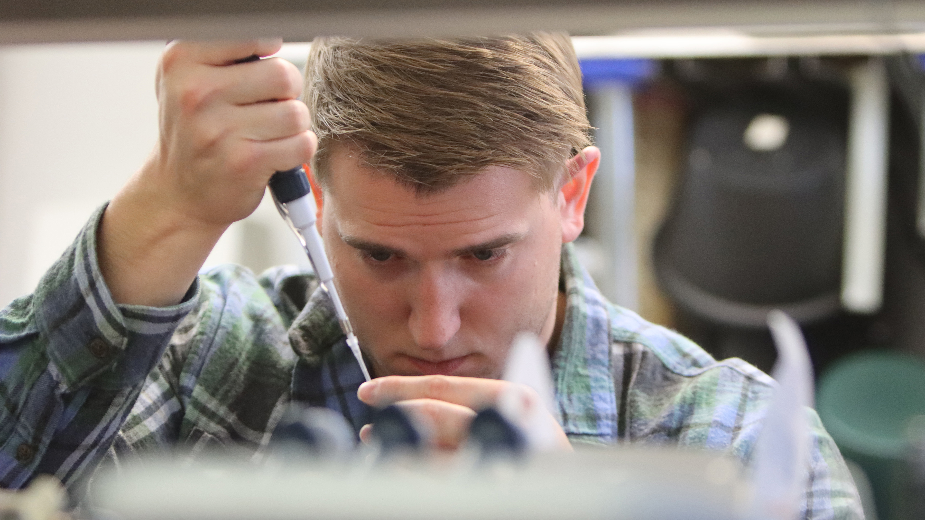 A student hard at work in Dr. Sorensen-Kamakian's lab.