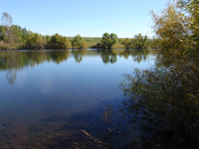 A 5-acre pond available for student research.