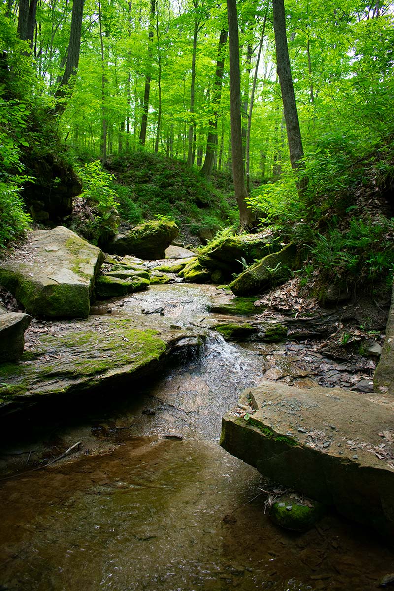 Shades State Park