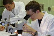 Students doing research