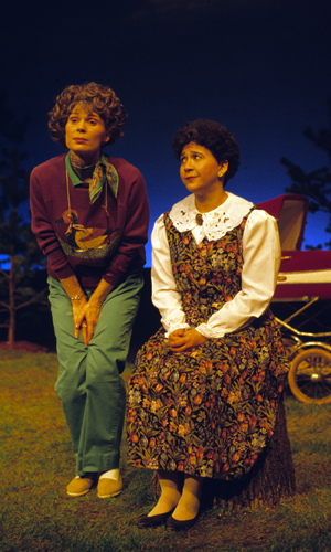 Production Photo for Dapple Gray