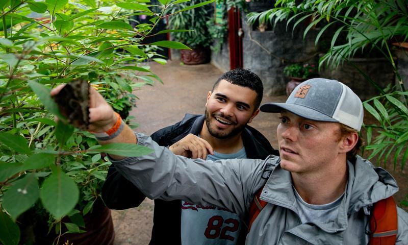 Students in an economics explore Ecuador during an immersive learning experience.