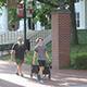 Student pulls a cart through campus on move in day.