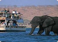 Photo of Botswana