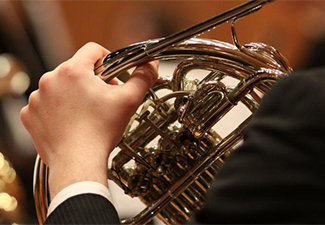 Chamber Orchestra French Horn