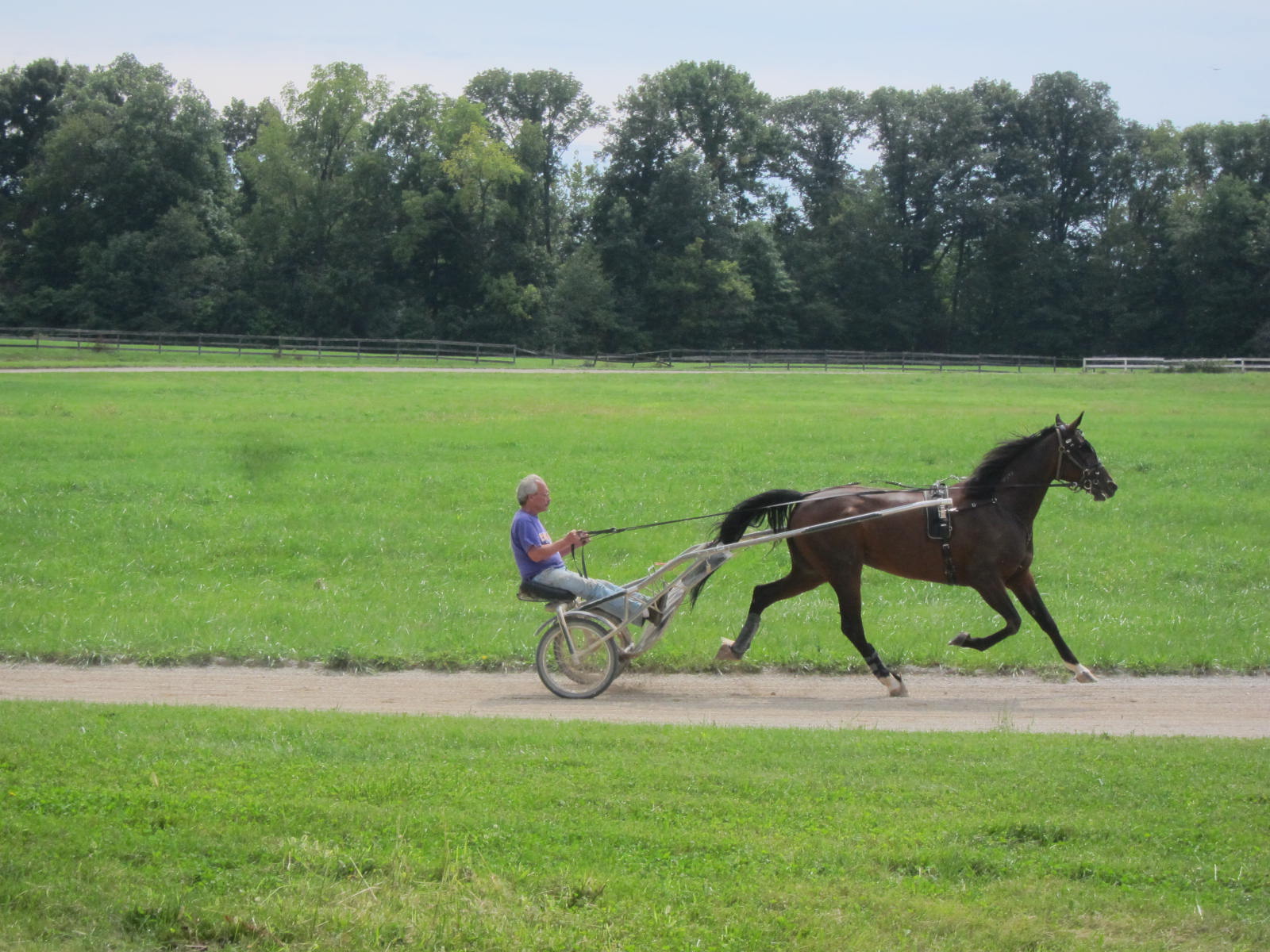Over the years, many horses were trained at the Crawford Standardbred Farm and raced in Indiana, Ohio, Kentucky, and Illinois.