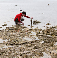 Joseph Miller ’25, a biochemistry major, did his research on a local Swimming Crab.