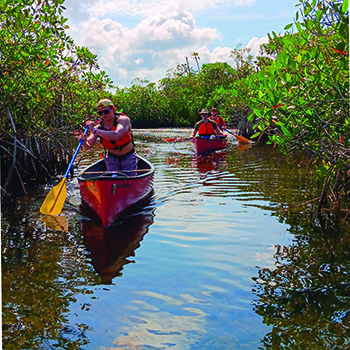 Matt Lepper &rsquo;25 in the Florida Everglades