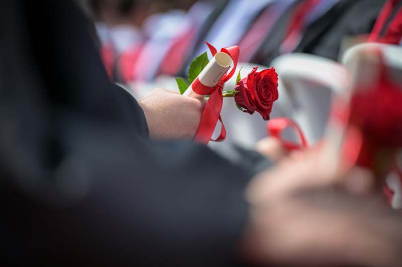 a person holding a rose