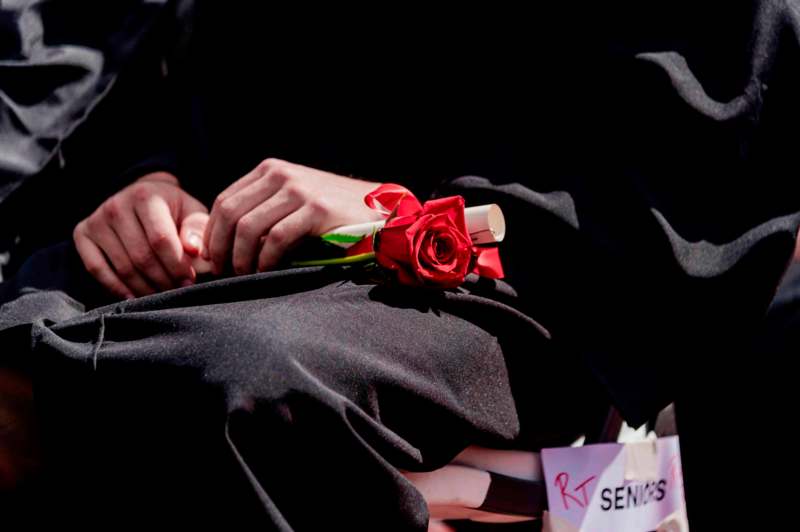 a person holding a rose on their back