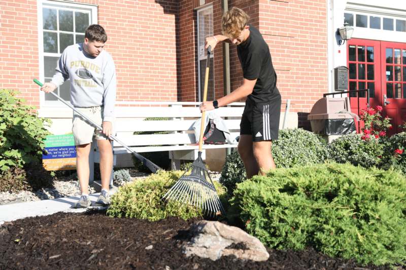 a couple of men raking a bush