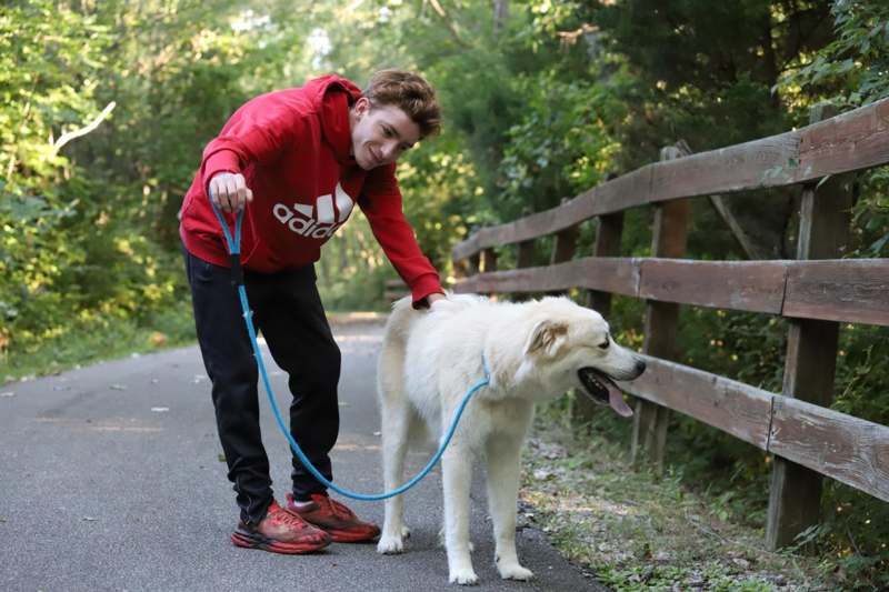 a man holding a dog on a leash
