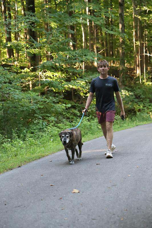 a man walking a dog on a leash