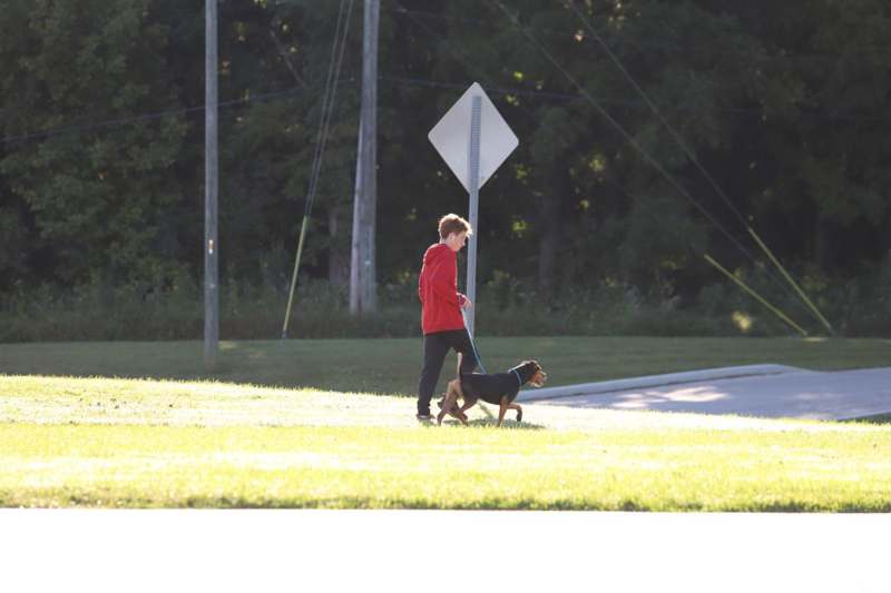 a person walking a dog on a leash