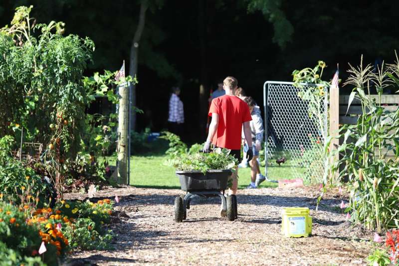 a man pushing a wheelbarrow full of plants