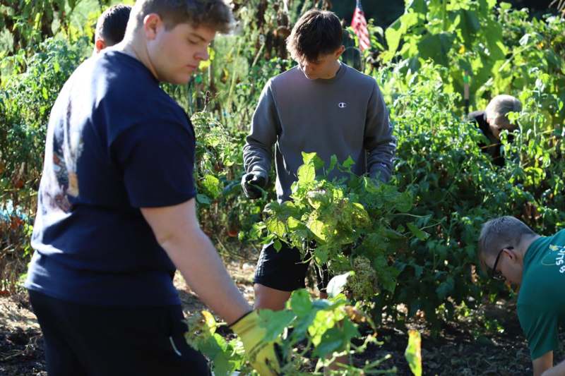 a group of men working in a garden