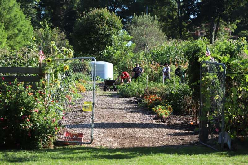 a group of people working in a garden