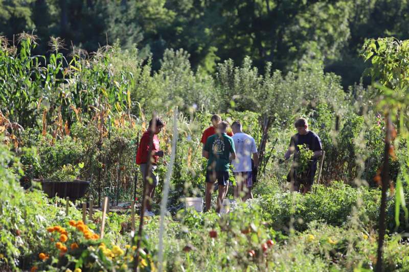 a group of people in a garden