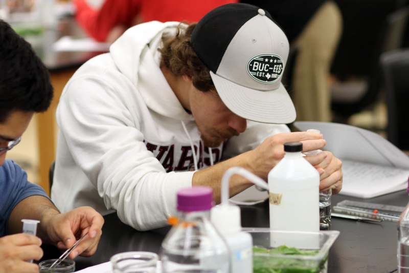 a man in a white hoodie and black cap