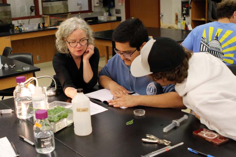 a group of people working on a project
