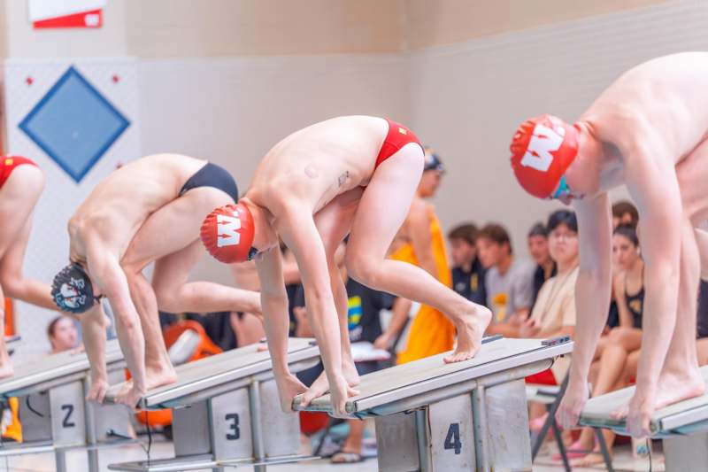 a group of people in swimsuits diving into a swimming pool