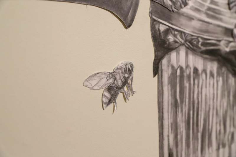 a drawing of a fly on a wall