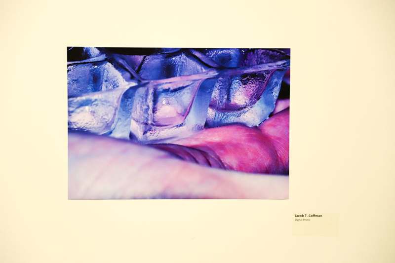 a close-up of a hand