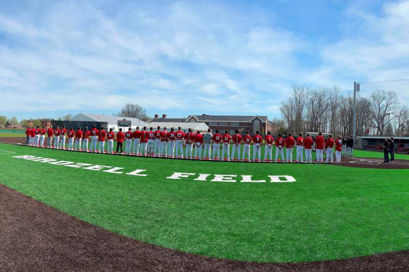 a group of baseball players standing in a line on a field
