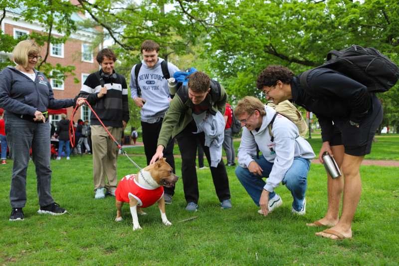 a group of people with a dog