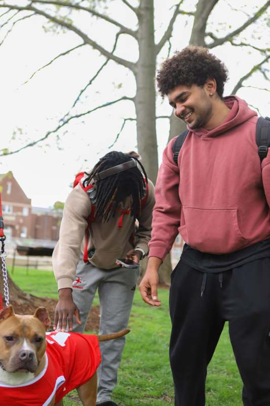 a group of people with a dog