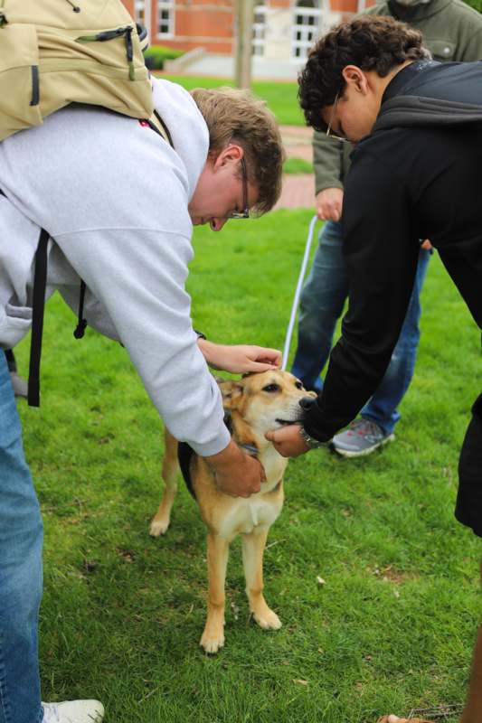 a man petting a dog