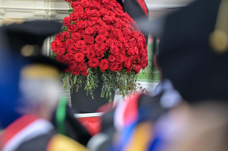 a large bouquet of roses in a black pot