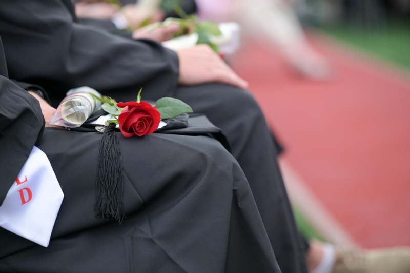 a rose on a graduation cap