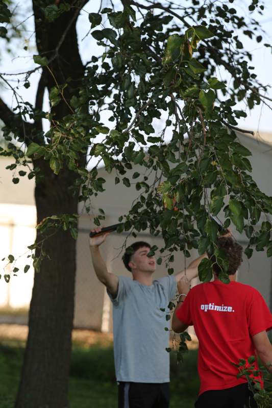 a group of people standing under a tree