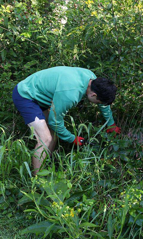 a man in a green shirt and blue shorts cutting grass