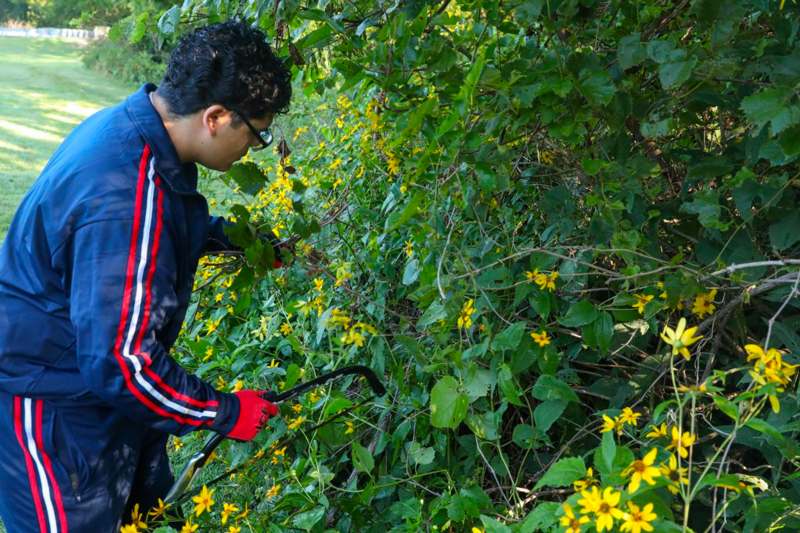 a man cutting bushes with a pruner