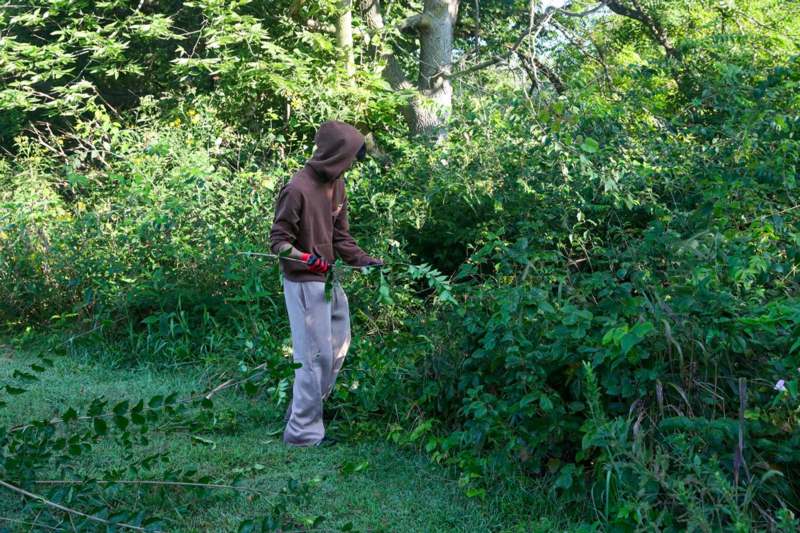 a person in a hoodie holding a stick in a forest