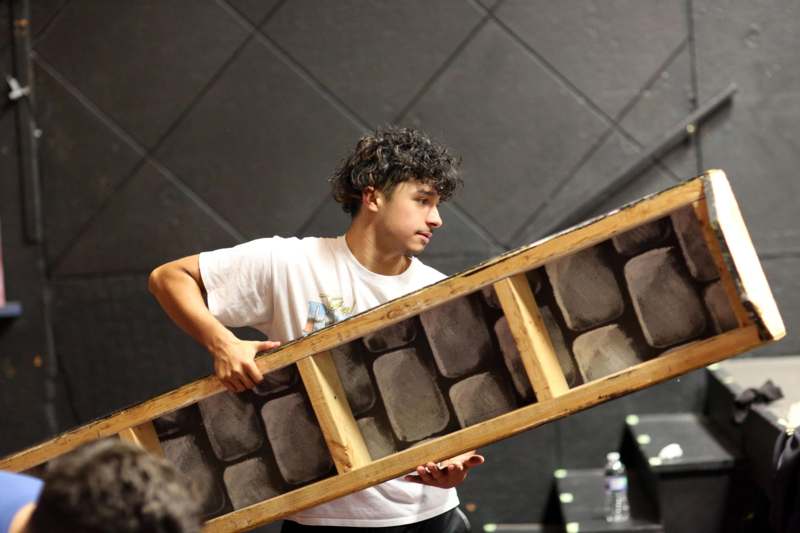 a man holding a wooden ladder