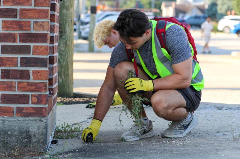 a man kneeling on the sidewalk with a plant in his hand