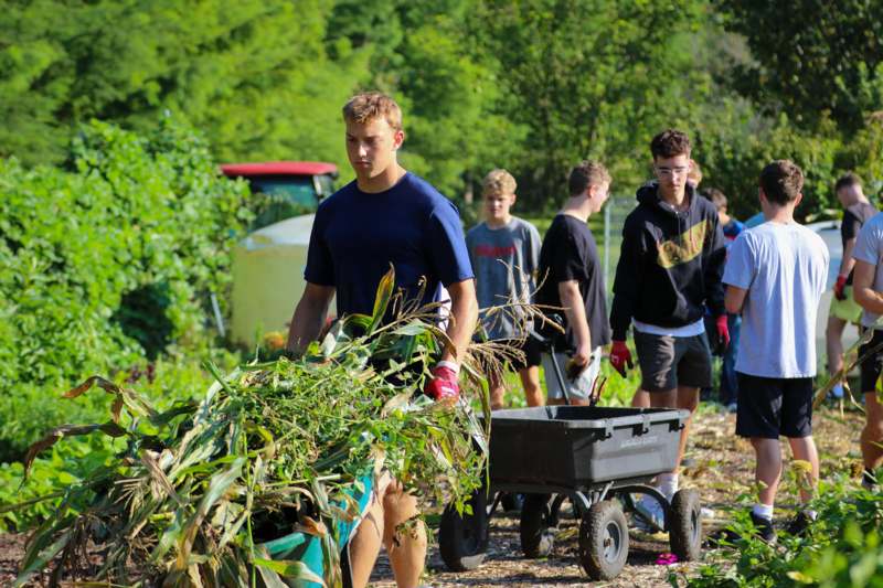 a group of people walking with a cart full of plants
