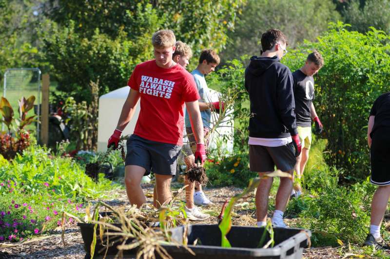 a group of people working in a garden