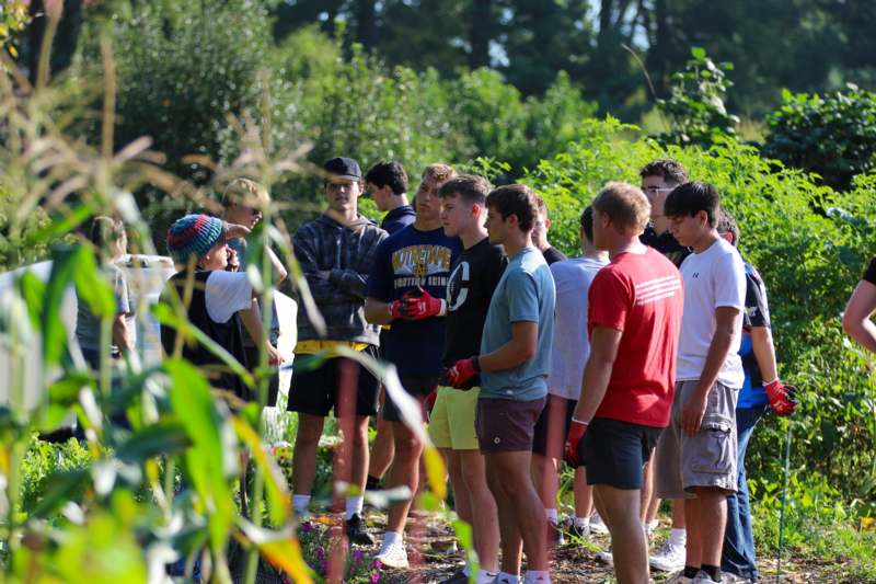 a group of people standing in a line
