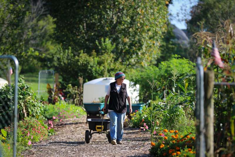 a woman pushing a wheelbarrow in a garden