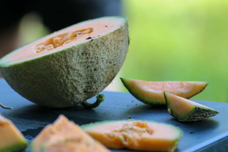 a melon cut in half