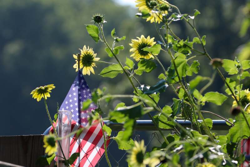 a flag on a flagpole surrounded by sunflowers